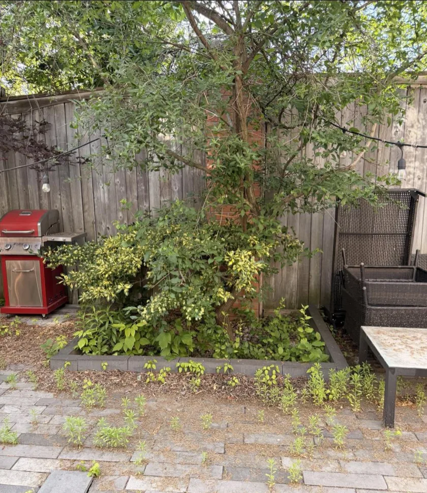 Before: Back Patio Restoration