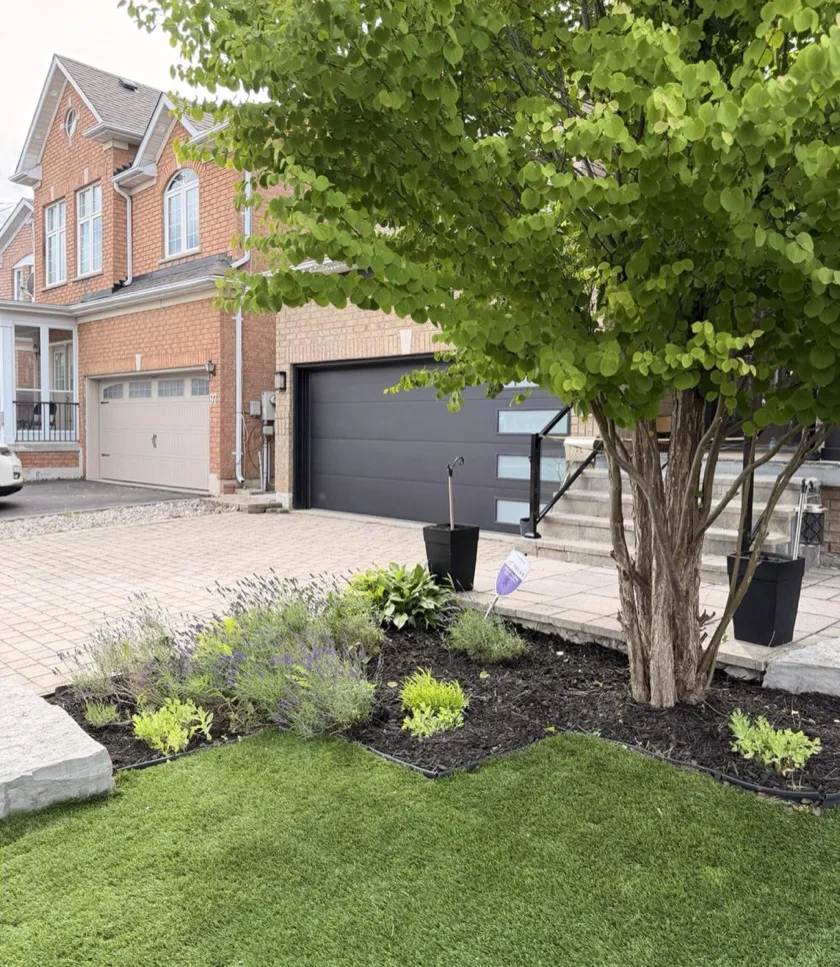 After: Front Garden Bed and Curb Appeal