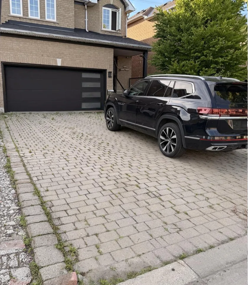 Before: Front Driveway Weed Removal