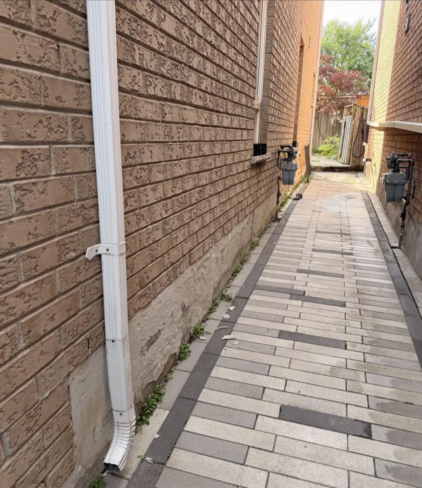 Before: Side Walkway Weed Removal